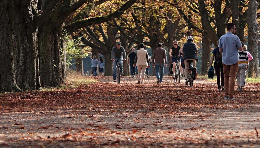 autumn, park, outdoors